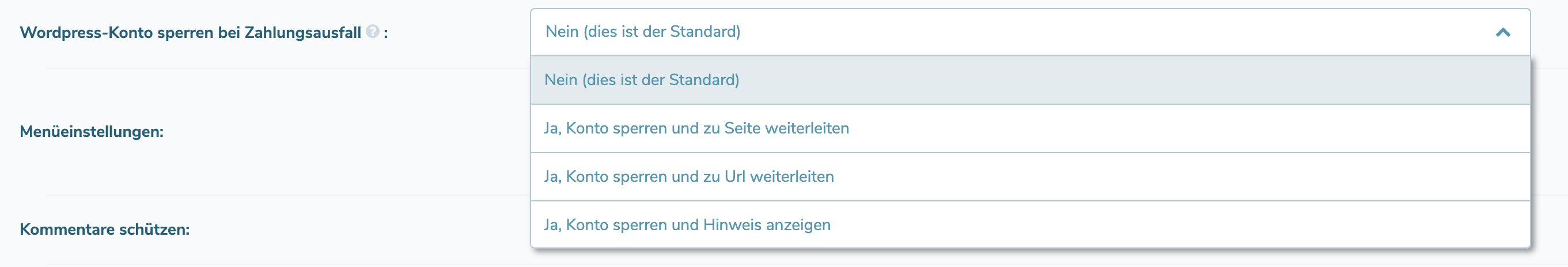 WordPress sperren bei Zahlungsausfall